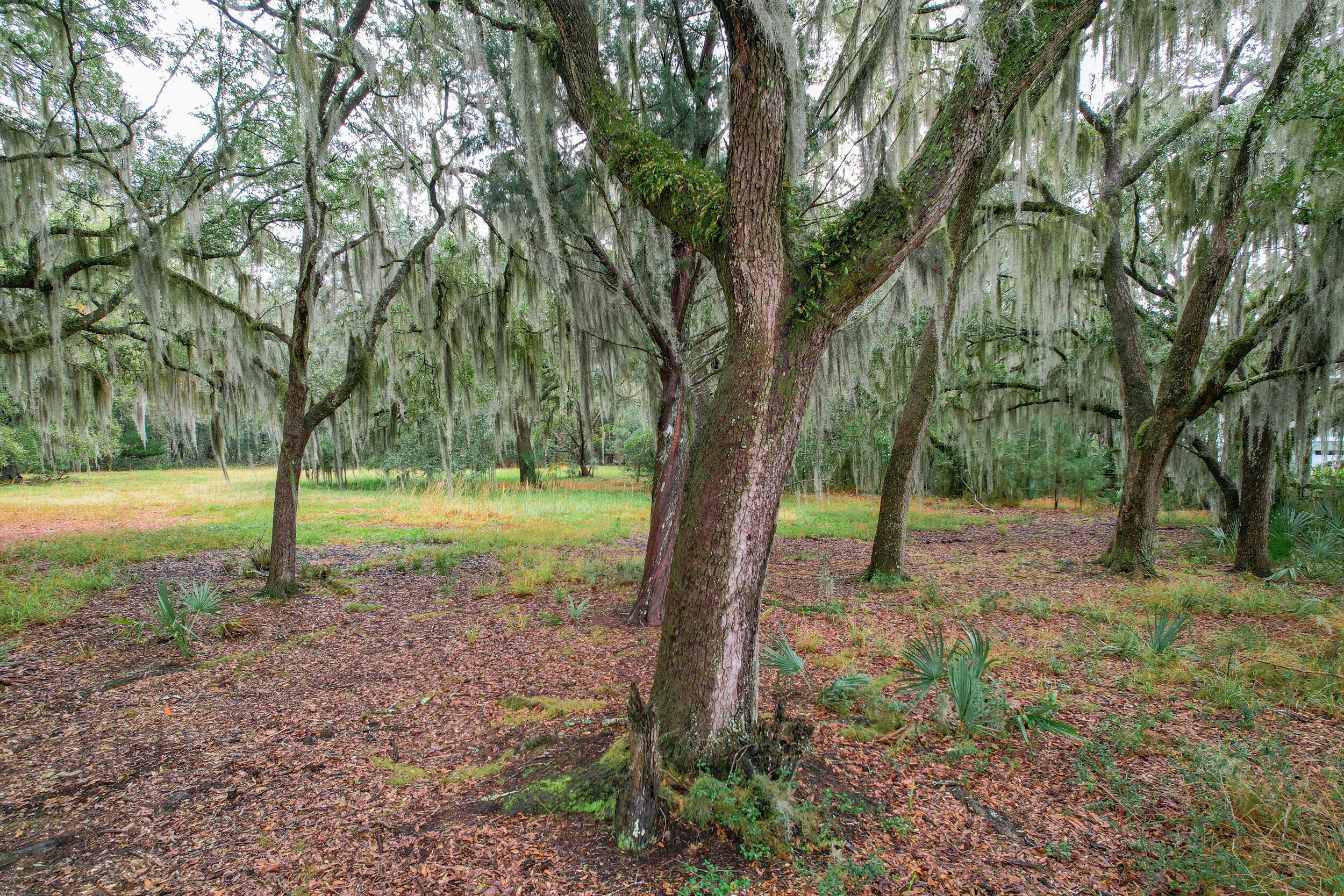 6540 Beagle Club Road Meggett, SC 29449 - Photo 20 of 31 DJI_0031