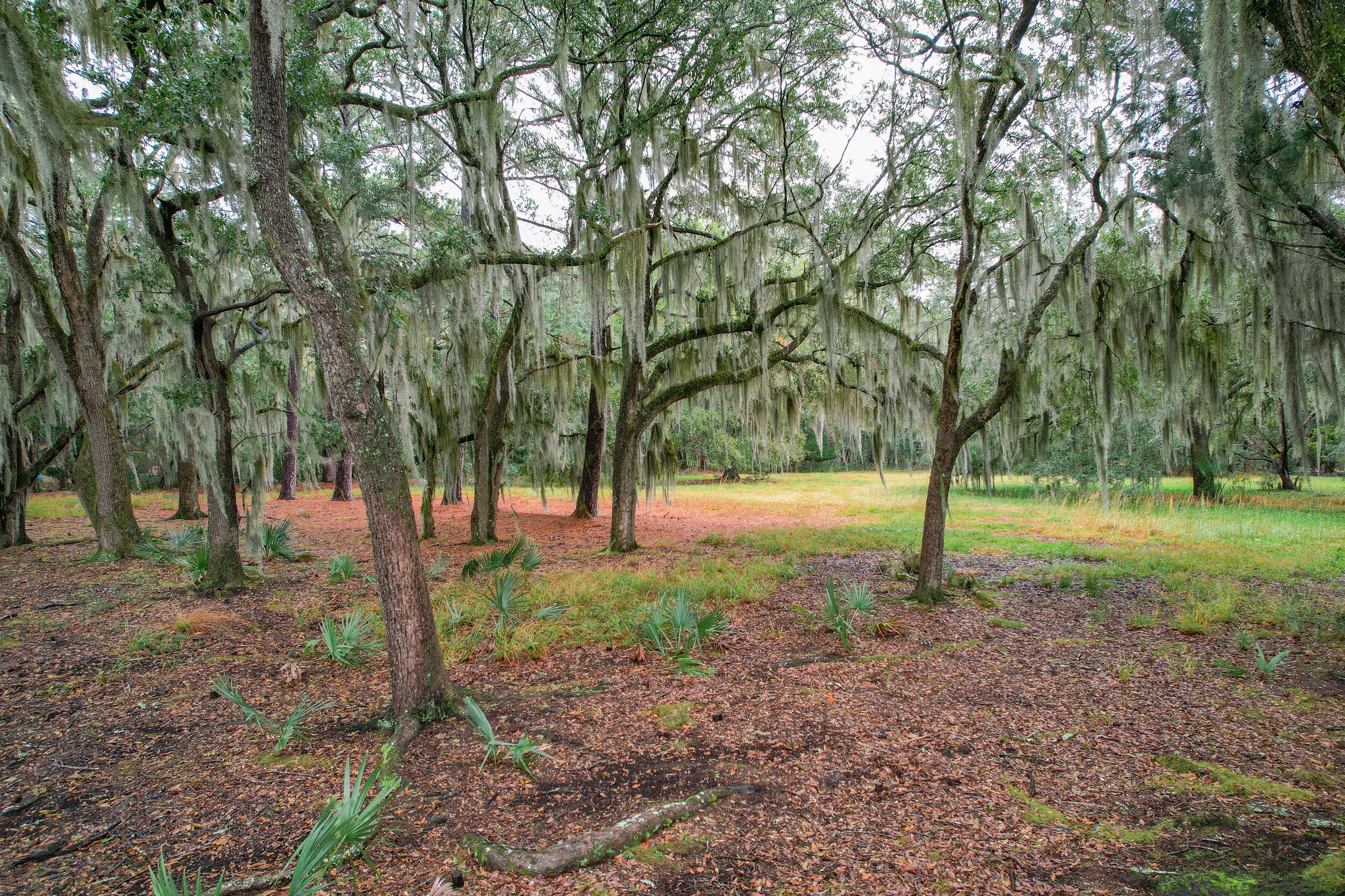 6540 Beagle Club Road Meggett, SC 29449 - Photo 21 of 31 DJI_0032