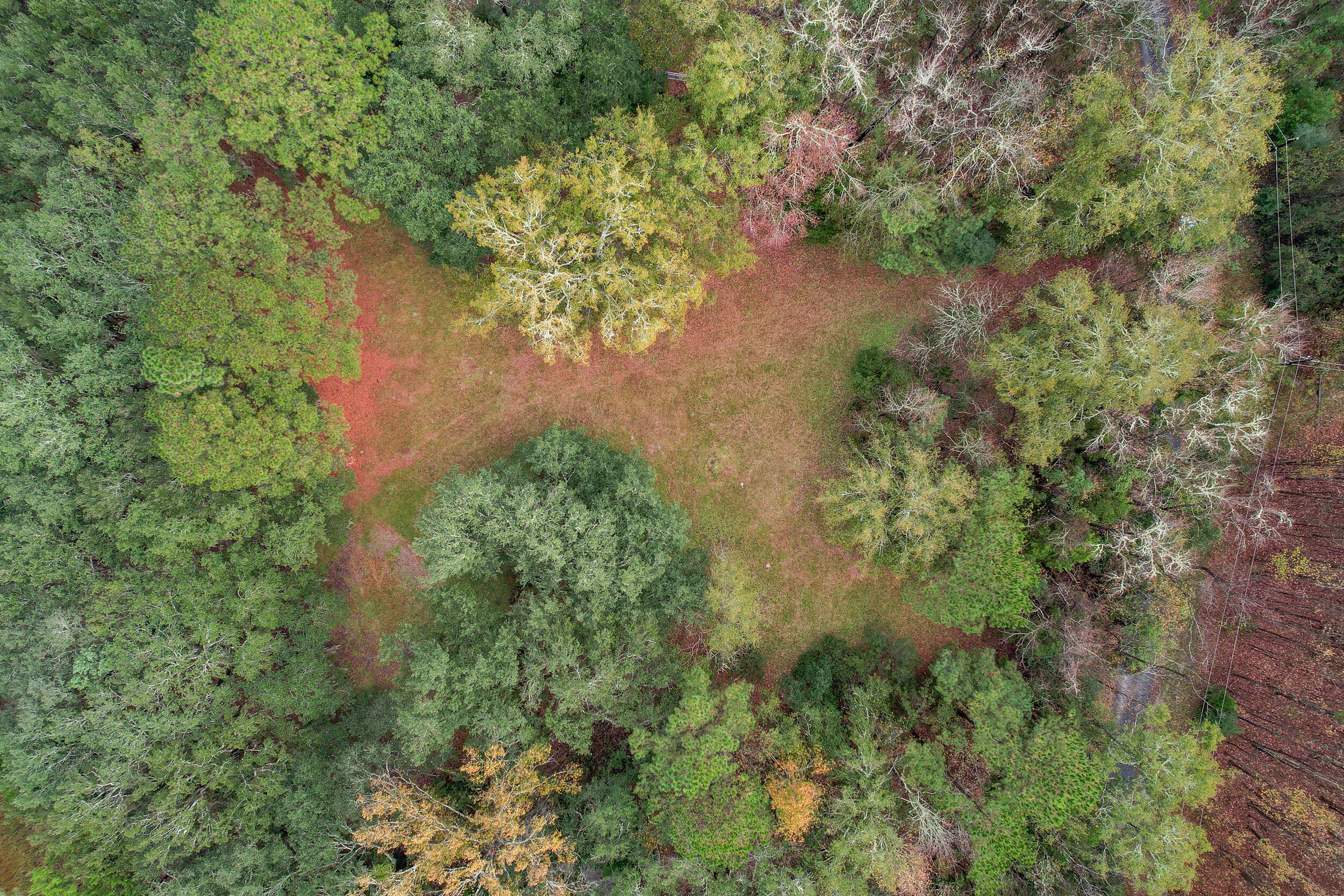 6540 Beagle Club Road Meggett, SC 29449 - Photo 8 of 31 DJI_0025