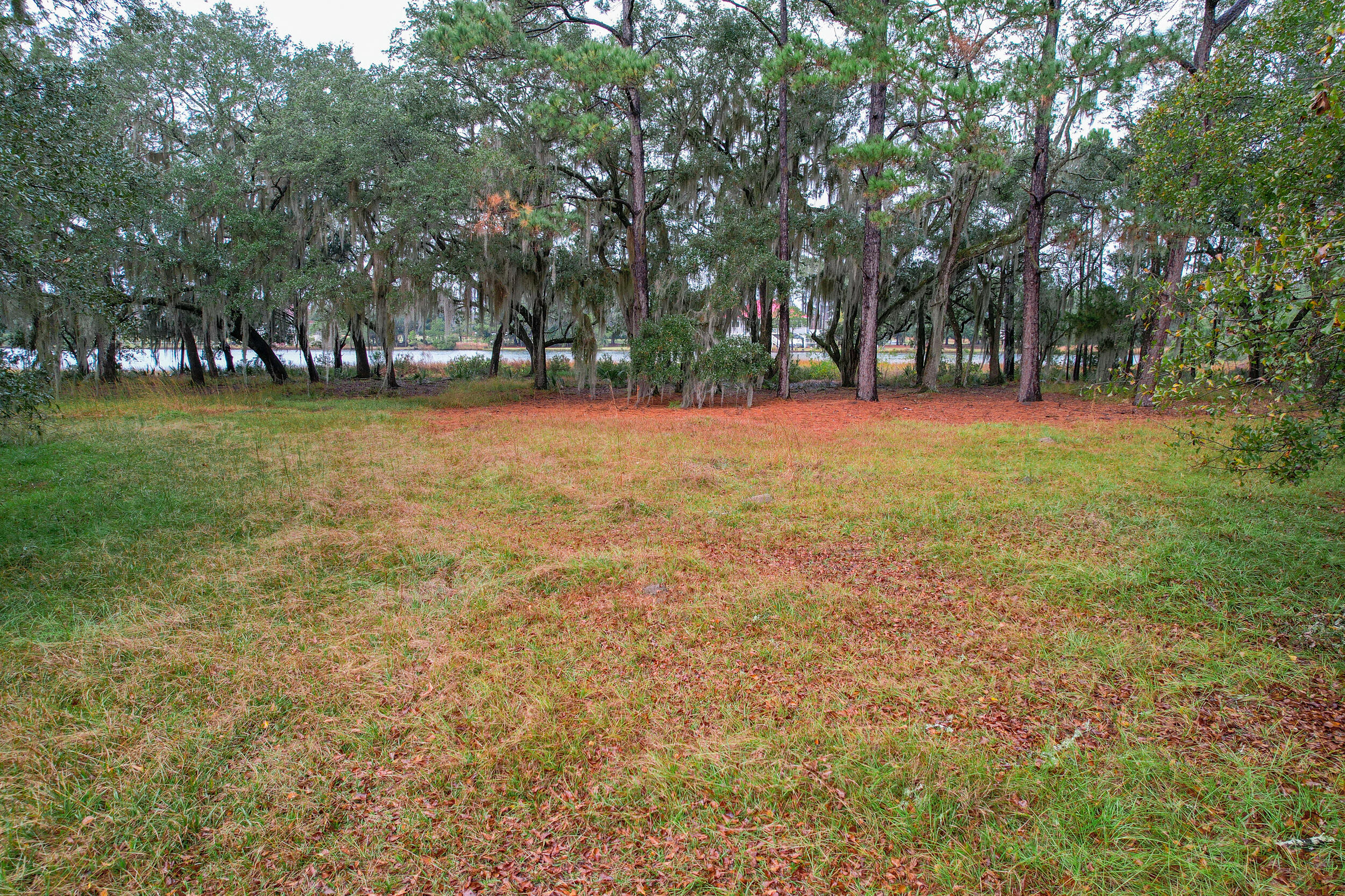 6540 Beagle Club Road Meggett, SC 29449 - Photo 9 of 31 DJI_0005