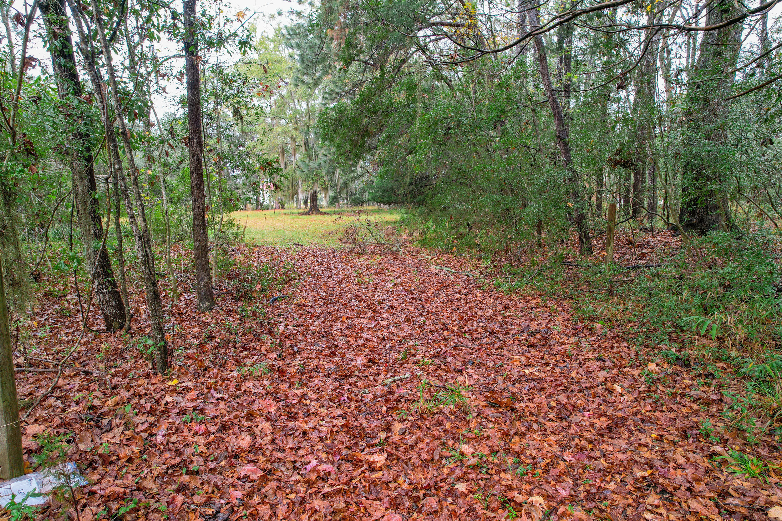6540 Beagle Club Road Meggett, SC 29449 - Photo 10 of 31 DJI_0001