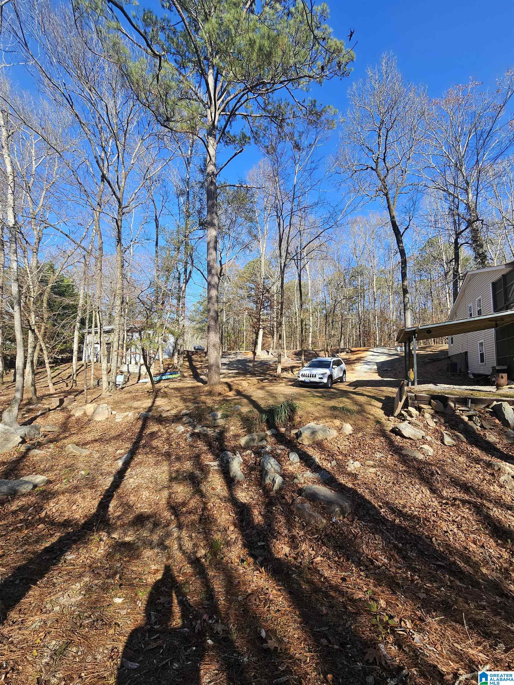 165 Joe's Fish Camp Road Titus, AL 36080 - Photo 30 of 35 Gallery Image 30