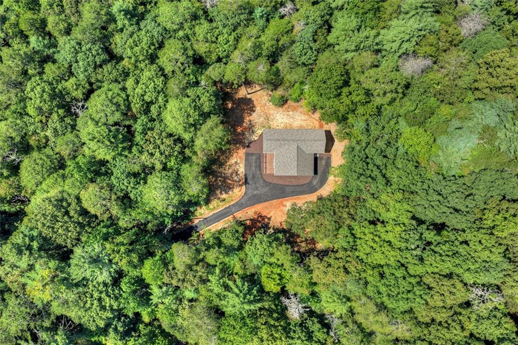 200 West Goldmine Road Ellijay, GA 30536 - Photo 69 of 74 Gallery Image 69