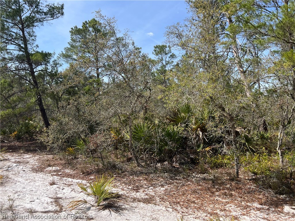 5523 Nectarine Road Sebring, FL 33875 - Photo 3 of 8 Gallery Image 3