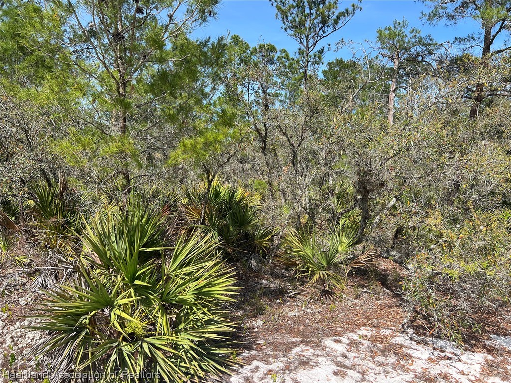 5523 Nectarine Road Sebring, FL 33875 - Photo 4 of 8 Gallery Image 4