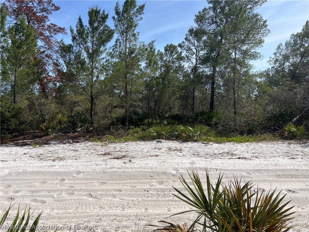 5523 Nectarine Road Sebring, FL 33875 - Photo 7 of 8 Gallery Image 7