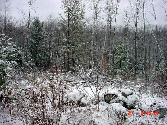 68-1 Winding Road Milton, NH 03851 - Photo 1 of 1