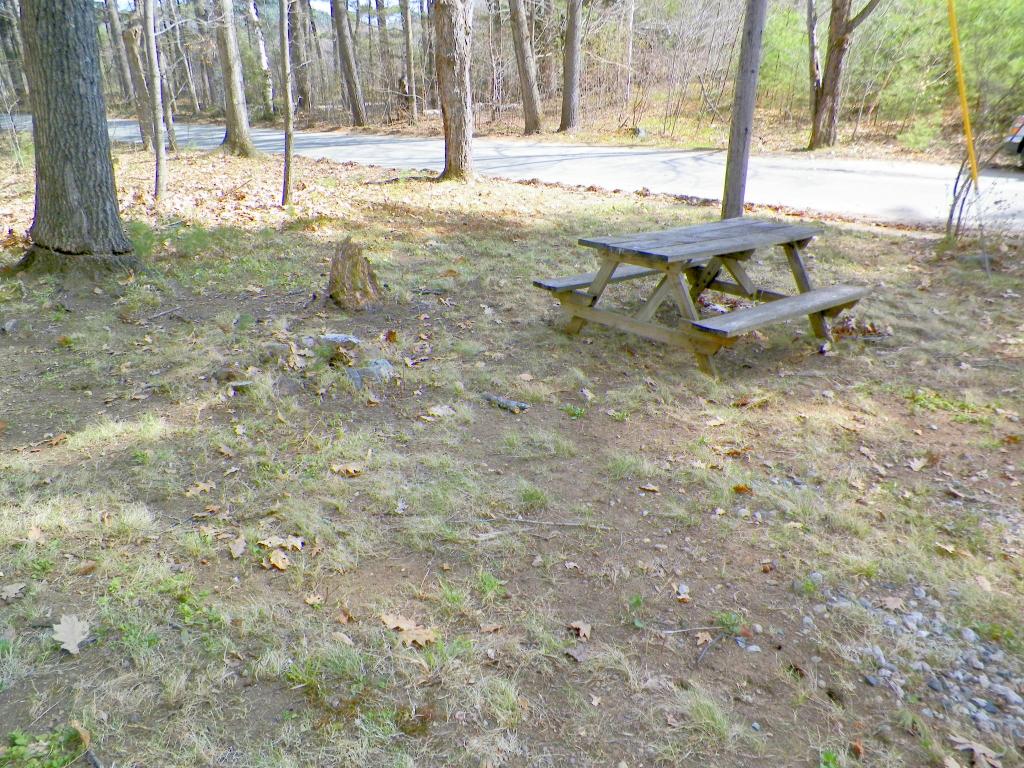 1267 North Road Shelburne, NH 03581 - Photo 2 of 7