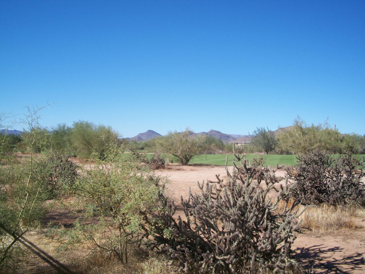 4116 East Pullman Road Cave Creek, AZ 85331 - Photo 19 of 21 19