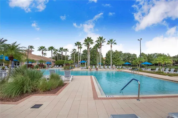 a view of a patio with couches table and chairs under an umbrella with palm trees