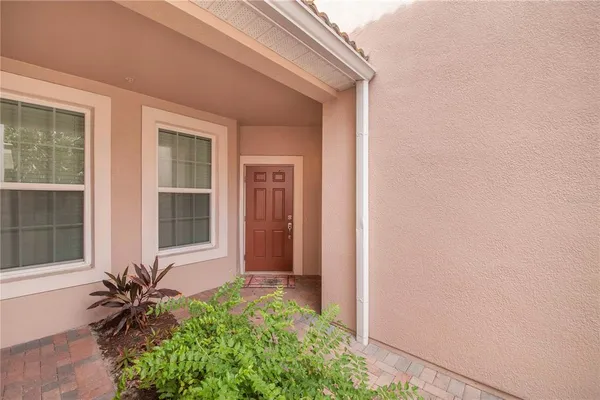 a potted plant in front of a house