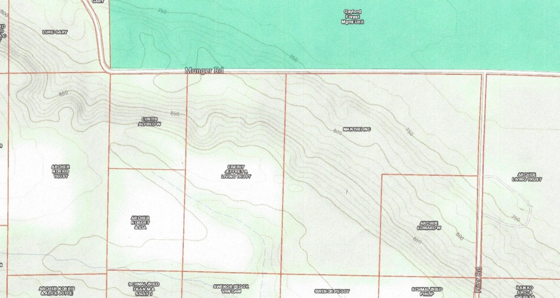 Xxx Munger Road Carp Lake, MI 49718 - Photo 15 of 15 Gallery Image 15