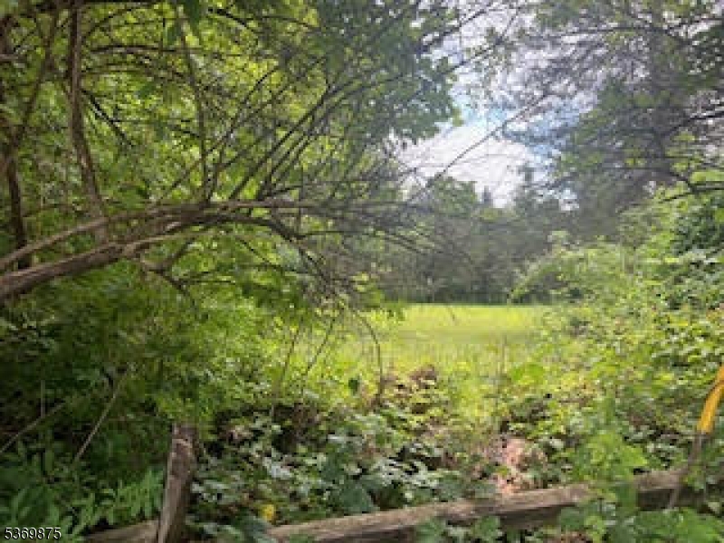 67 Woodland Road Randolph, NJ 07869 - Photo 2 of 5