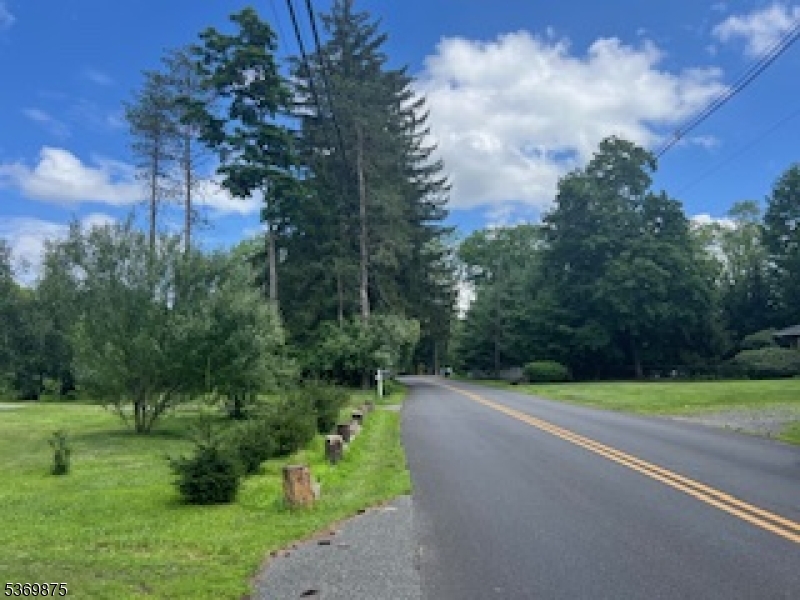 67 Woodland Road Randolph, NJ 07869 - Photo 4 of 5 a view of a park