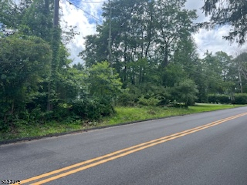 67 Woodland Road Randolph, NJ 07869 - Photo 5 of 5 a view of a yard with a street