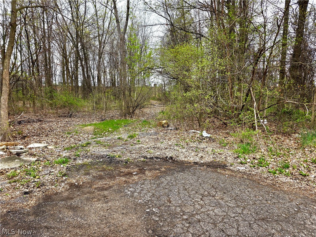 Vl Ridgewood Street Lorain, OH 44055 - Photo 2 of 2