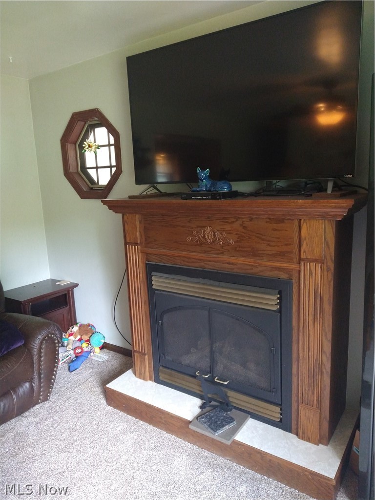 5709 Amy Boyle Road Northeast Fowler, OH 44418 - Photo 6 of 14 fireplace in living room