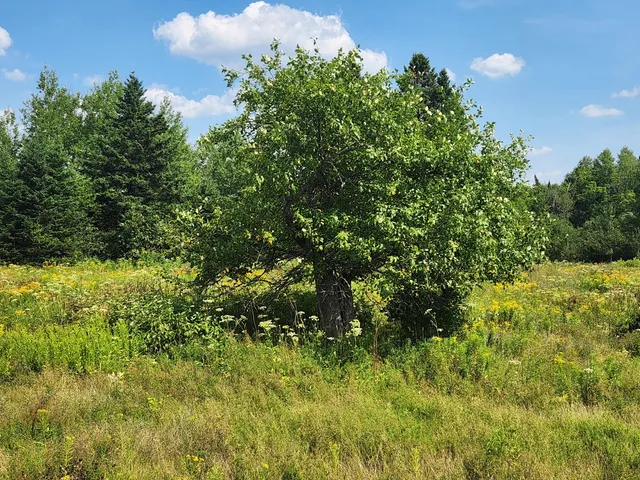 $60,000 | 484 Masardis Road, Ashland, ME 04732