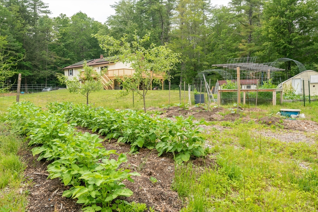 226 Raymond Road Nottingham, NH 03290 - Photo 8 of 42 a view of a garden