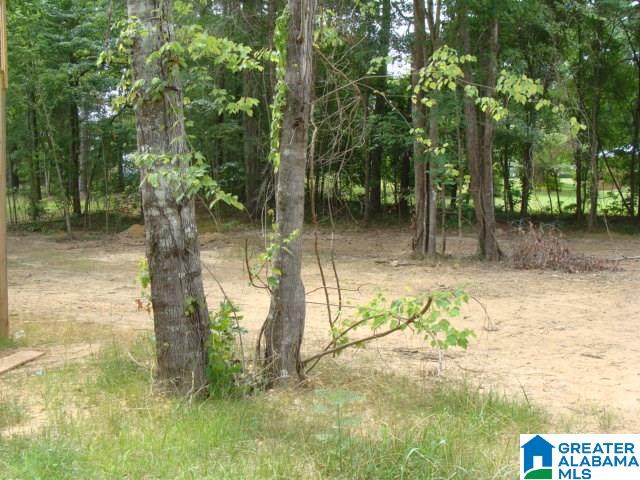 20409 Castle Rdg Road McCalla, AL 35111 - Photo 14 of 14