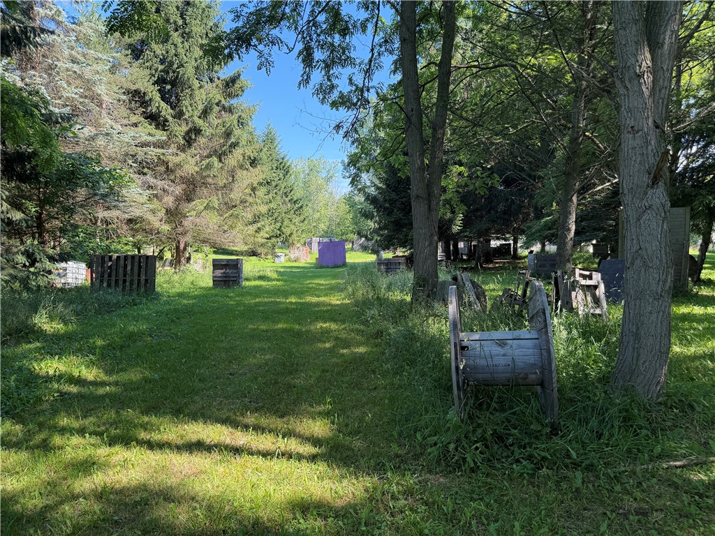 832 Moscow Road Hamlin, NY 14464 - Photo 37 of 48