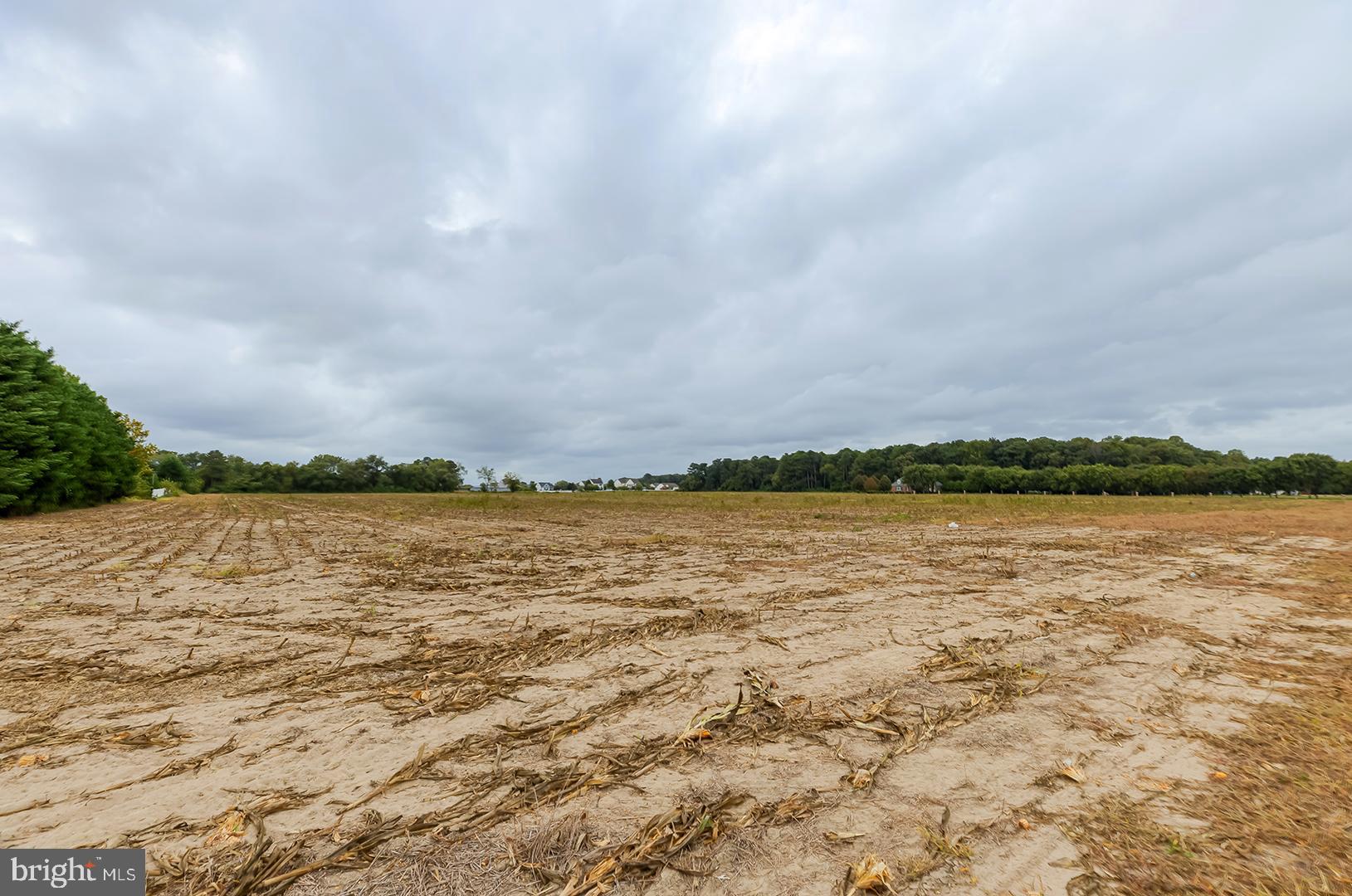 20450 Elks Lodge Road Lincoln, DE 19960 - Photo 16 of 16 a view of lake with mountain