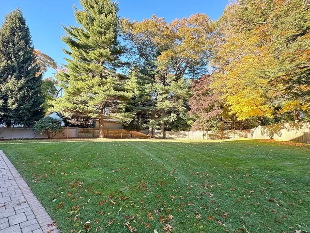 a view of yard with green space