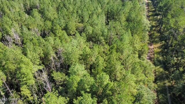 5464 A Pecan Orchard Road Liberty, MS 39645 - Photo 3 of 14 thumbnail_dji_fly_20250925_111512_9_1758
