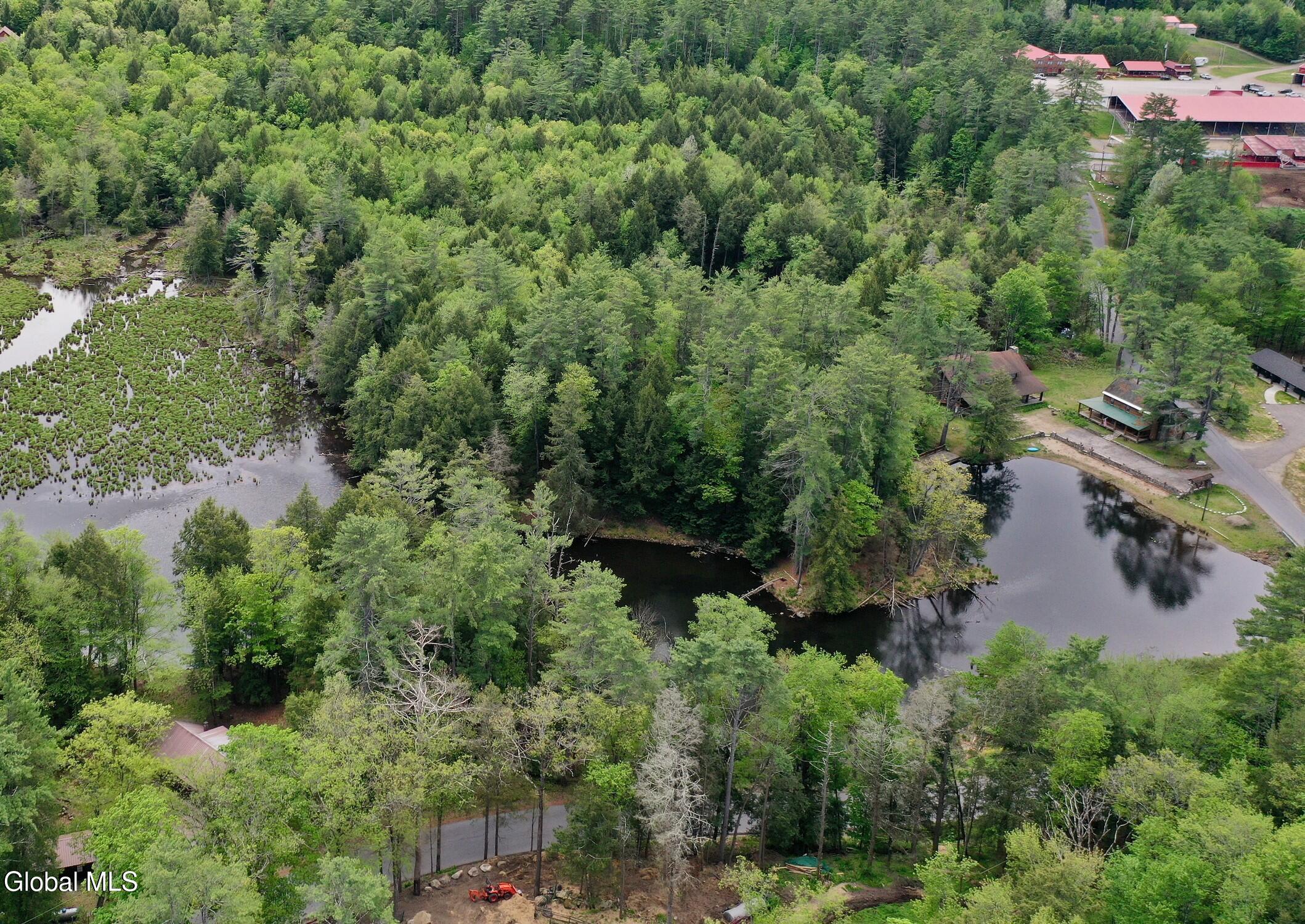 746 Howe Road Lake Luzerne, NY 12846 - Photo 87 of 91 edited drone 3