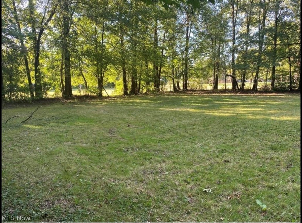 0 Johns Road Clinton, OH 44216 - Photo 2 of 3 Gallery Image 2