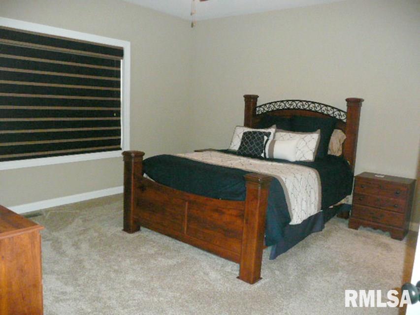 10933 North Tuscany Ridge Court Dunlap, IL 61525 - Photo 8 of 17 Gallery Image 8