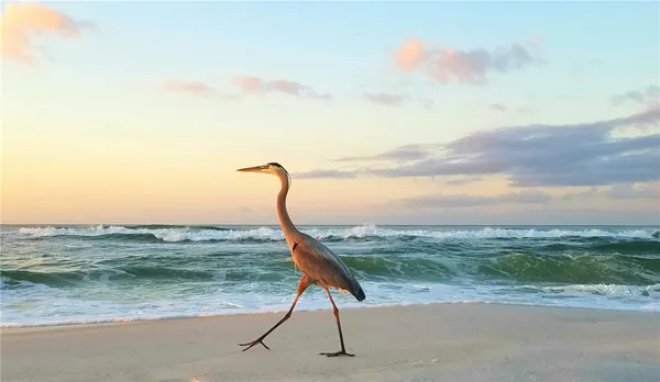 $9,000 | 1460 Winding Oaks Circle West, Unit 104, Vero Beach, FL 32963