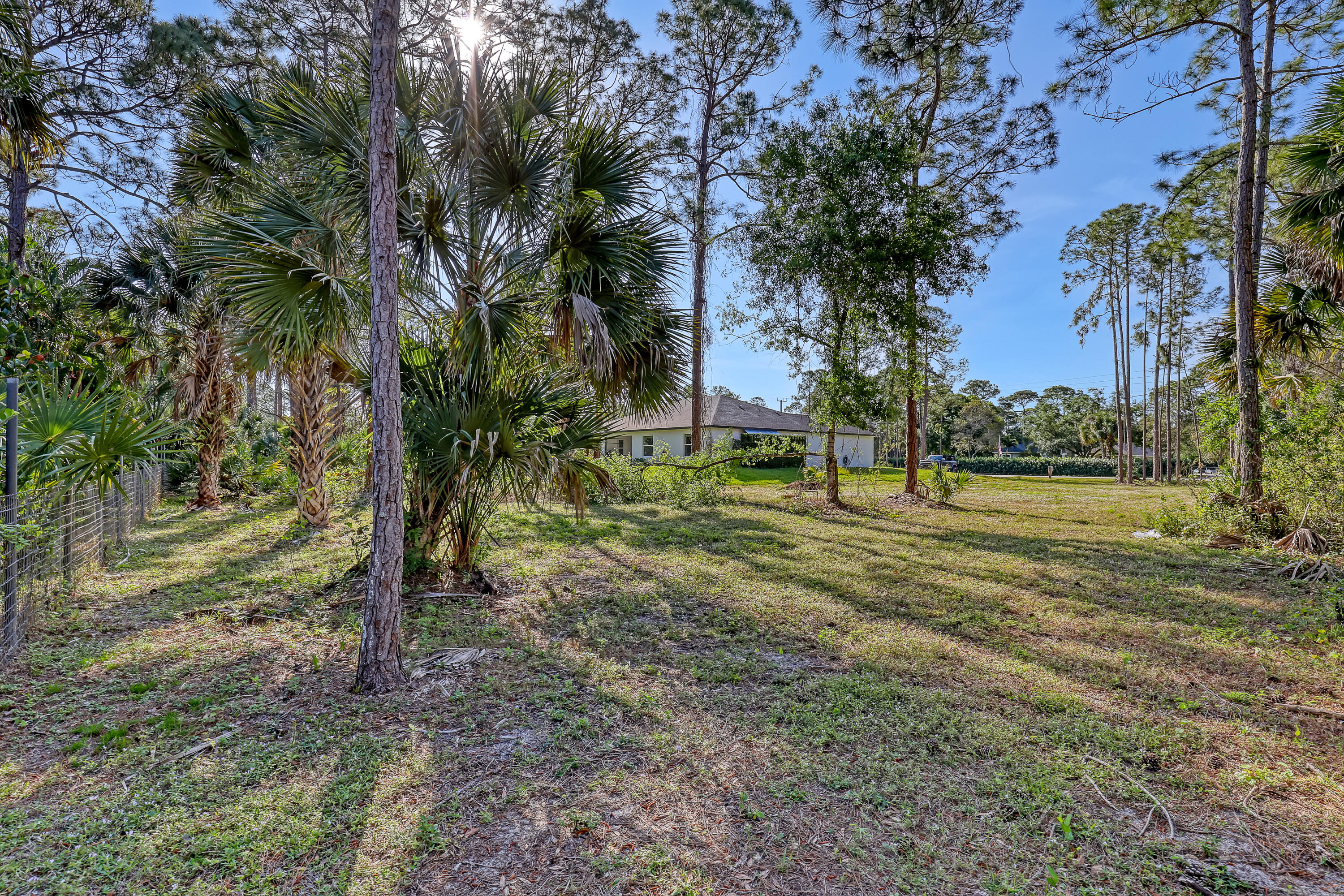 16775 Orange Boulevard Loxahatchee, FL 33470 - Photo 45 of 53 a view of a tree in a yard