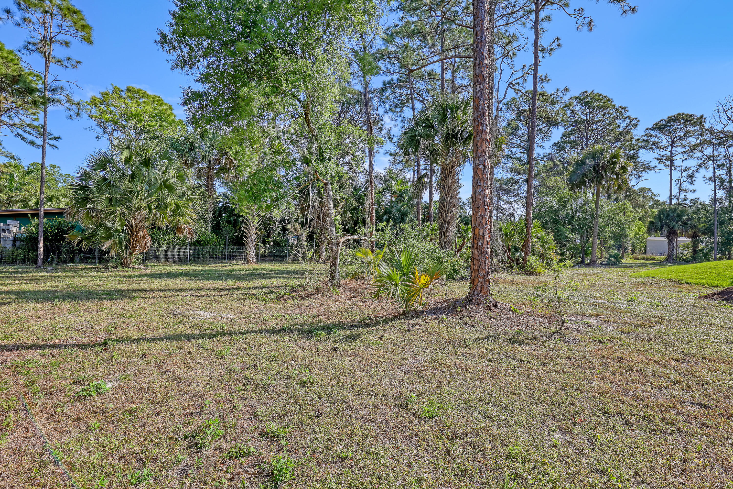 16775 Orange Boulevard Loxahatchee, FL 33470 - Photo 46 of 53 a view of a yard with a house
