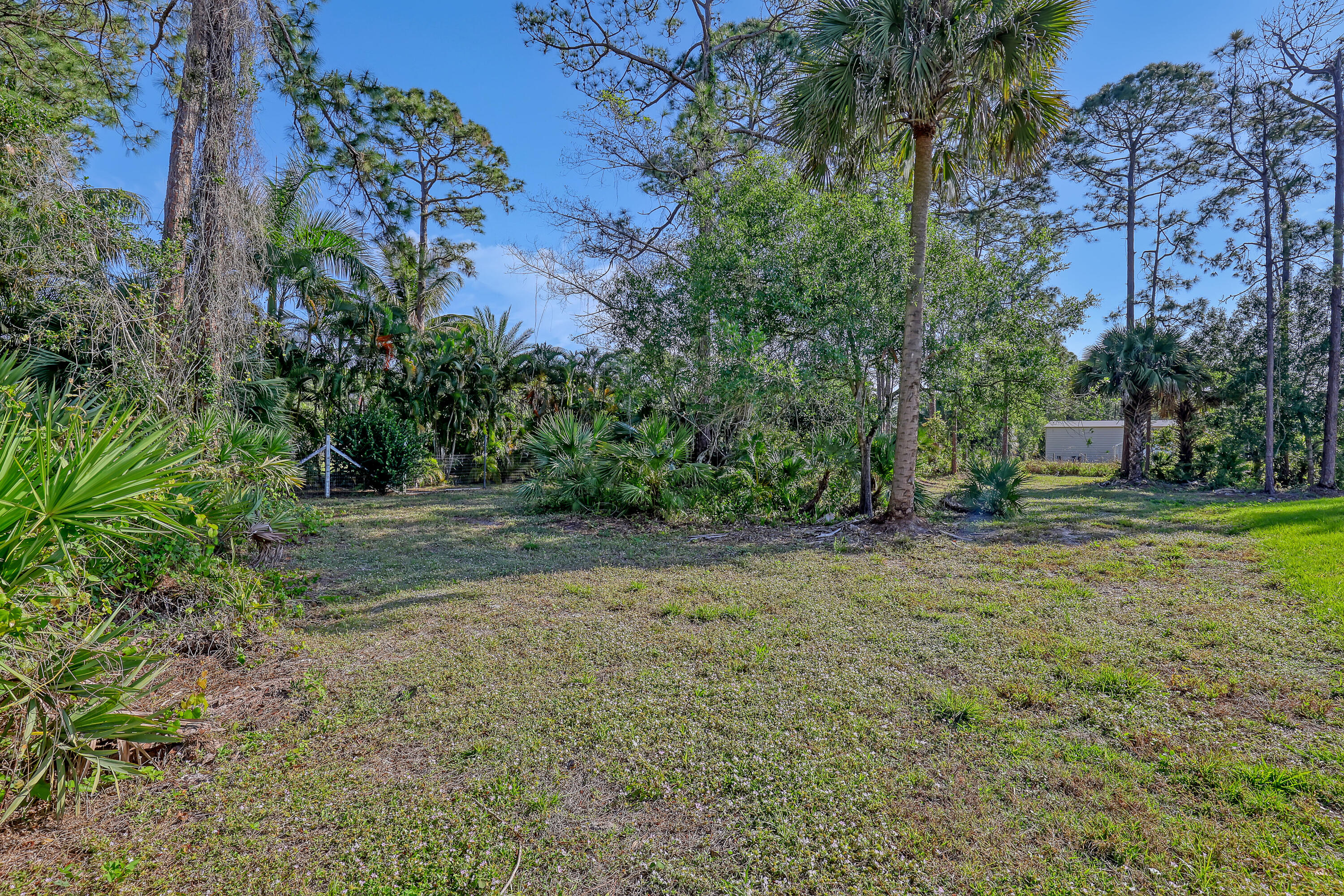 16775 Orange Boulevard Loxahatchee, FL 33470 - Photo 47 of 53 a view of a yard with a tree