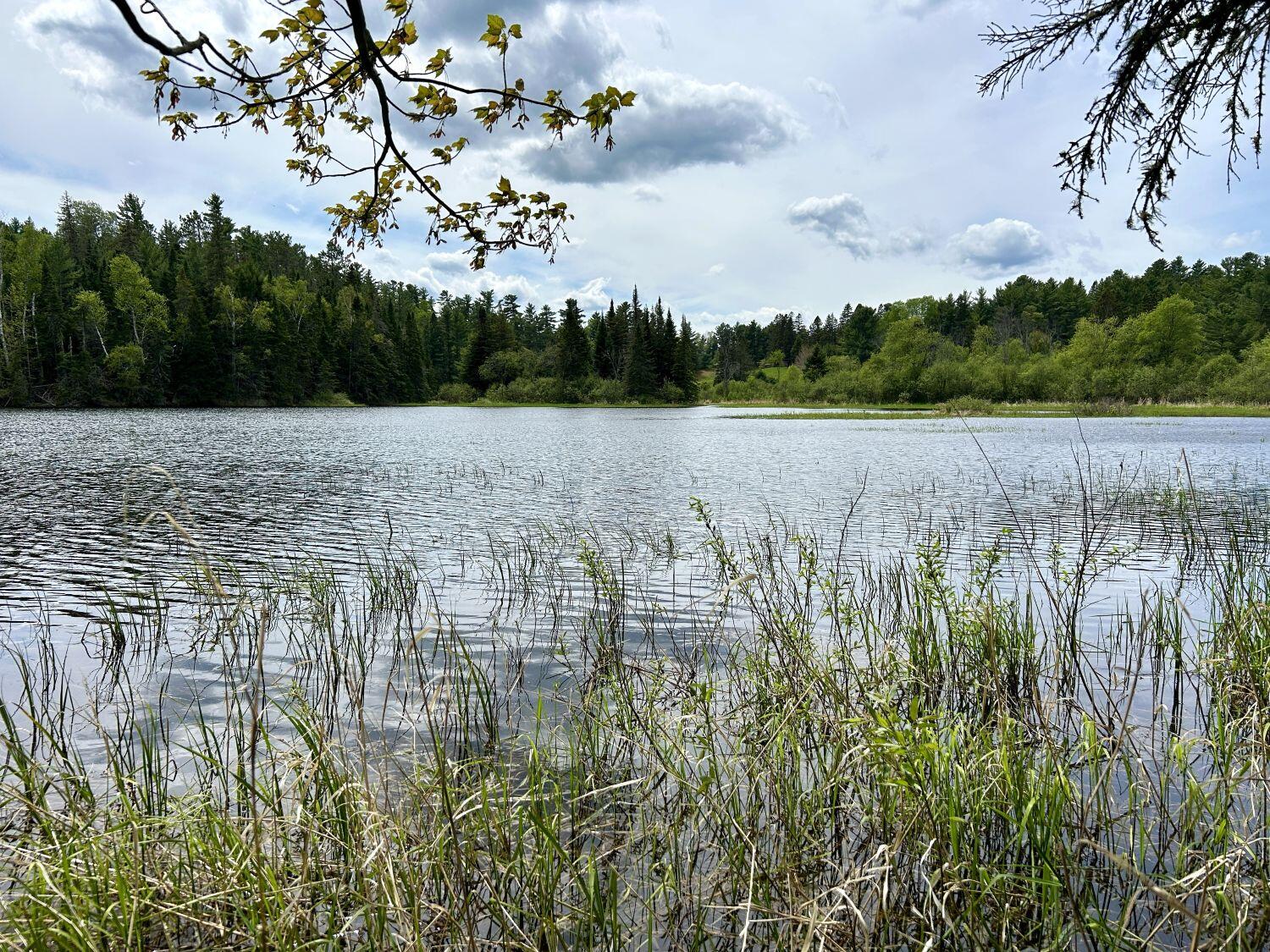 Lot 3 Scott Road Eustis, ME 04936 - Photo 13 of 26 Secluded pond to river
