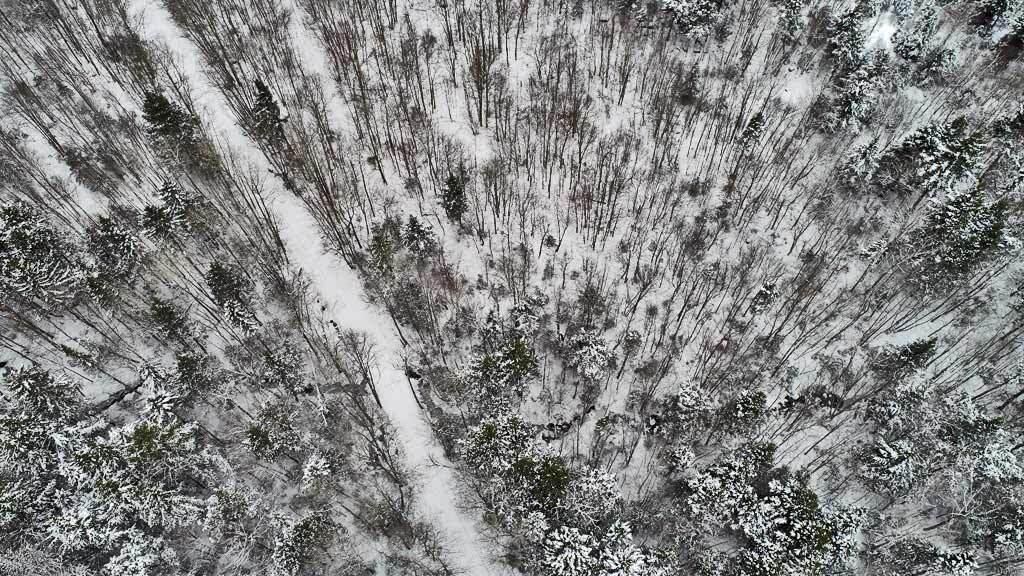 Lot 14 Mountain Road Houlton, ME 04730 - Photo 22 of 75 road-off-grid-log-cabin
