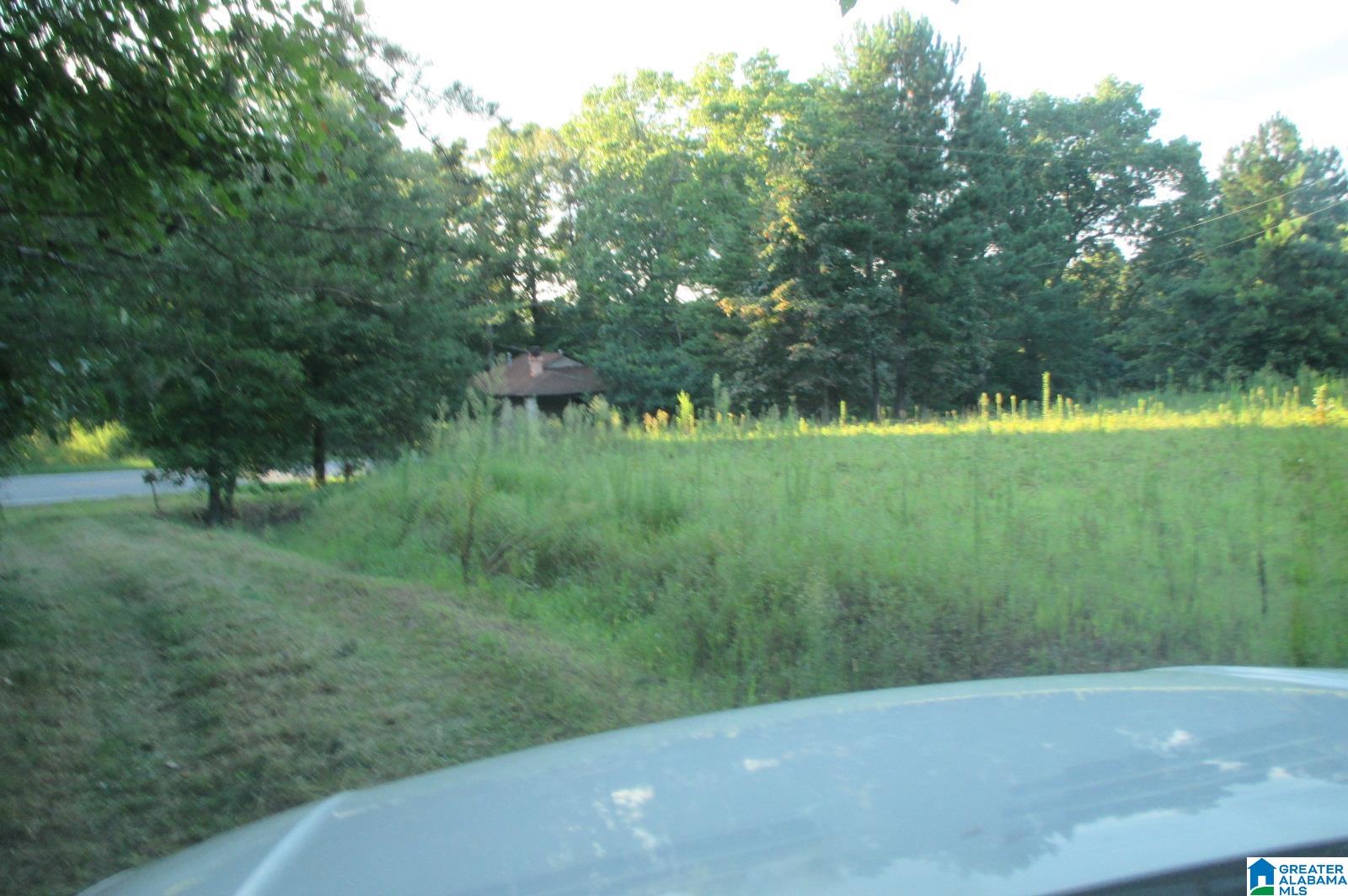6151 Highway 27 Springville Al Springville, AL 35146 - Photo 23 of 27