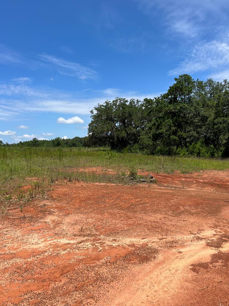 0 State Line Road Cottonwood, AL 36320 - Photo 8 of 12