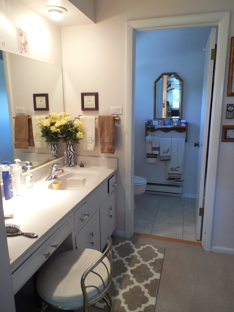 12340 West Offner Road Manhattan, IL 60442 - Photo 22 of 38 a bathroom with a sink and a mirror