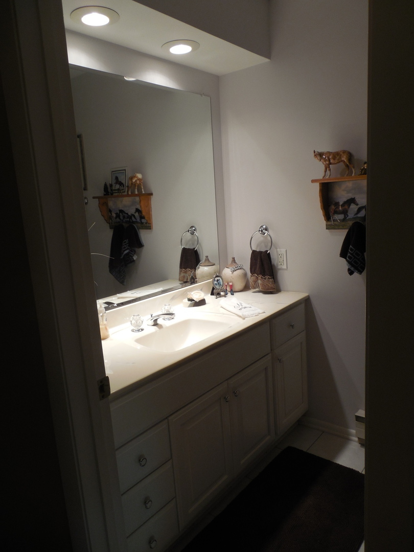 12340 West Offner Road Manhattan, IL 60442 - Photo 23 of 38 a bathroom with a sink and a mirror