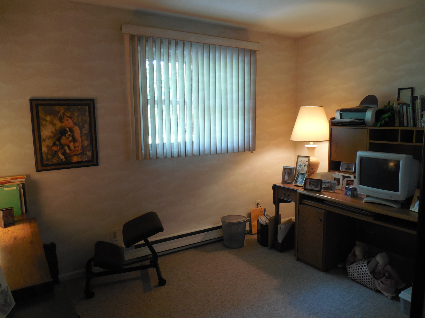 12340 West Offner Road Manhattan, IL 60442 - Photo 27 of 38 a room with furniture and a window