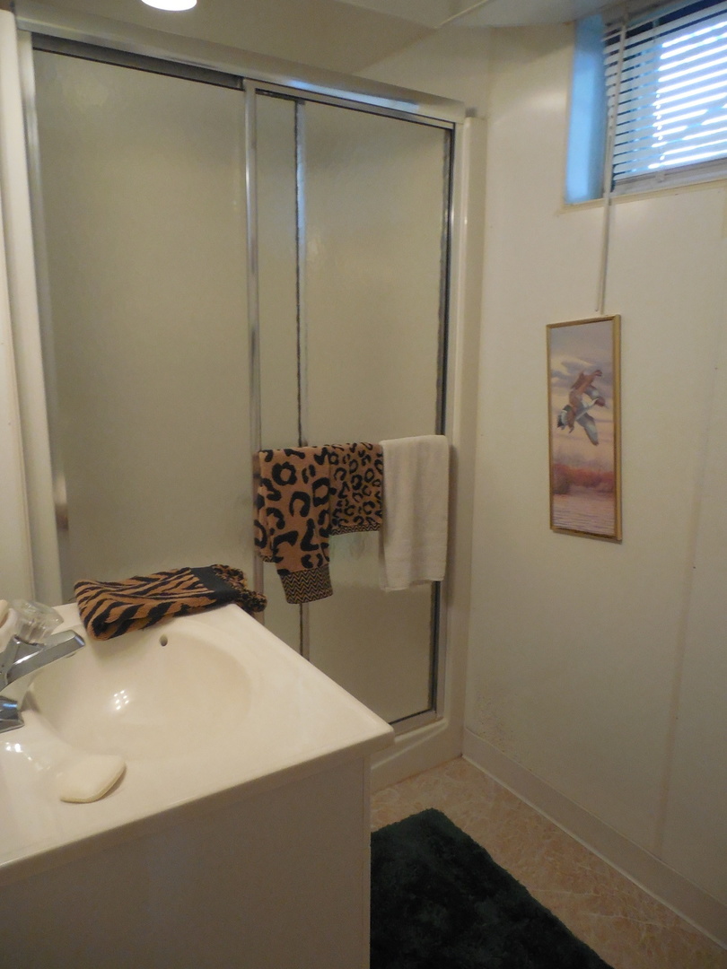 12340 West Offner Road Manhattan, IL 60442 - Photo 28 of 38 a bathroom with a sink and a mirror