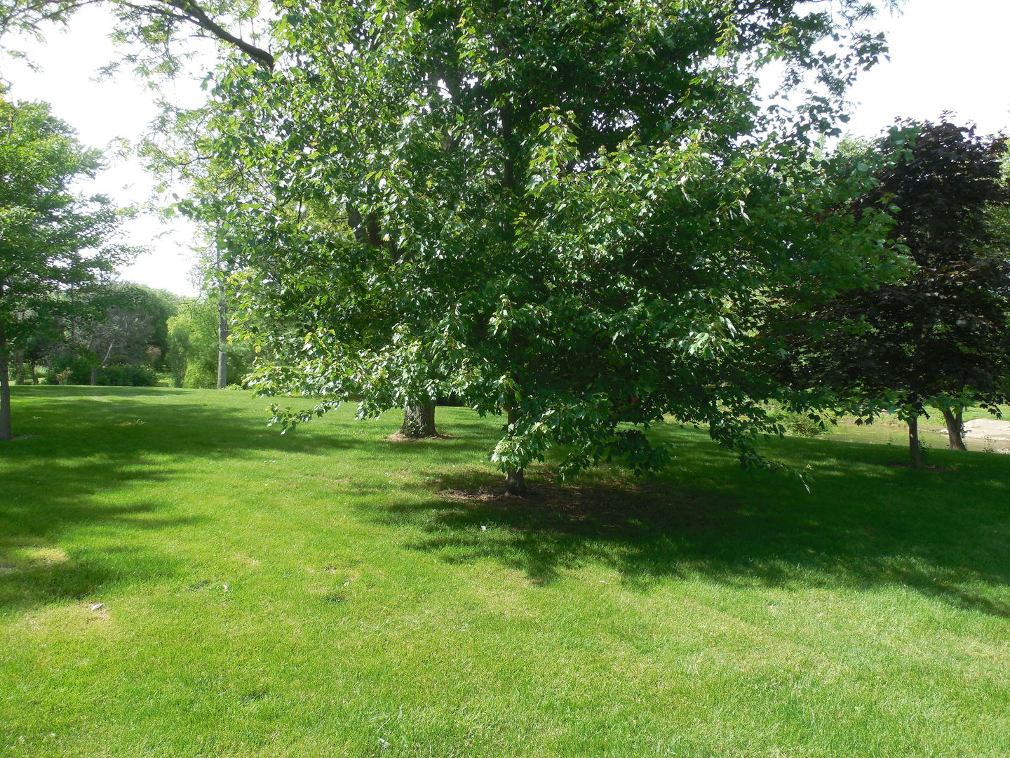12340 West Offner Road Manhattan, IL 60442 - Photo 33 of 38 a view of a grassy field with trees