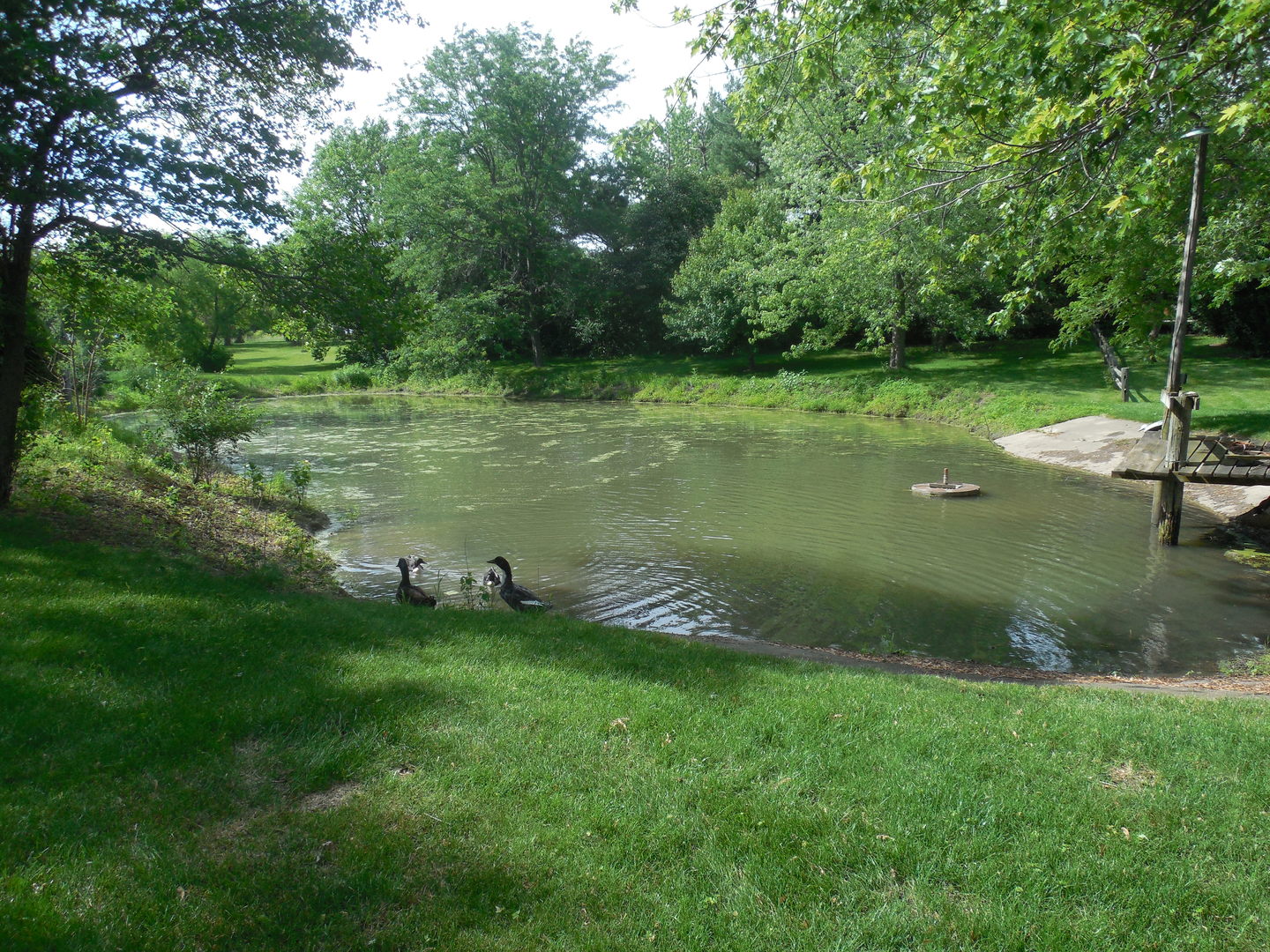 12340 West Offner Road Manhattan, IL 60442 - Photo 34 of 38 a view of a golf course with a lake