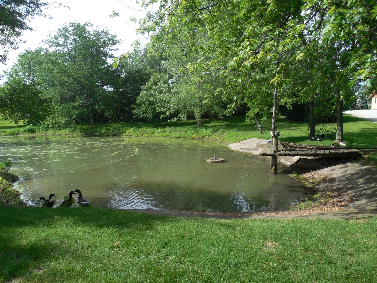 12340 West Offner Road Manhattan, IL 60442 - Photo 35 of 38 a view of a lake with a yard
