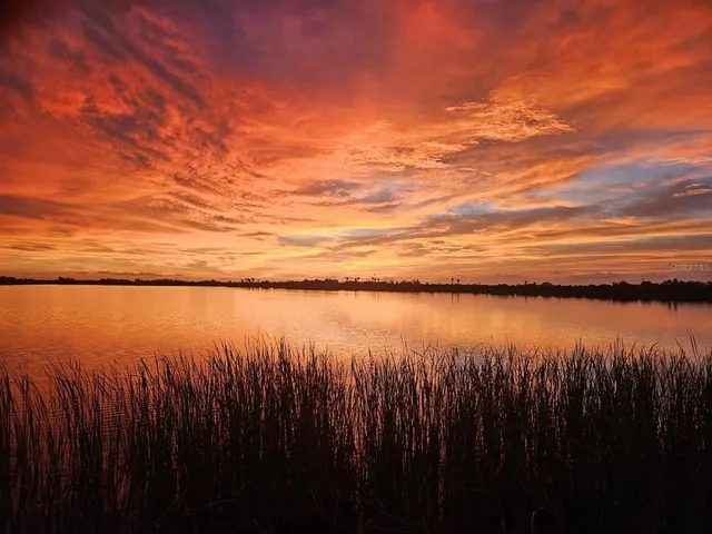 $3,450,000 | 3215 Gulf City Road, Ruskin, FL 33570