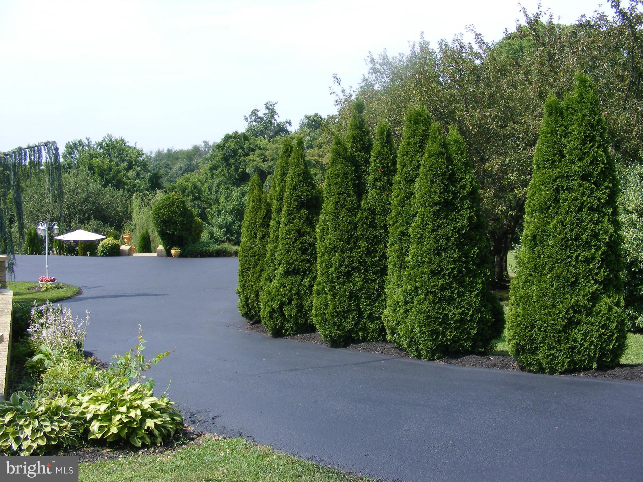 10200 Kelly Road Walkersville, MD 21793 - Photo 10 of 30 Dual entrances to home