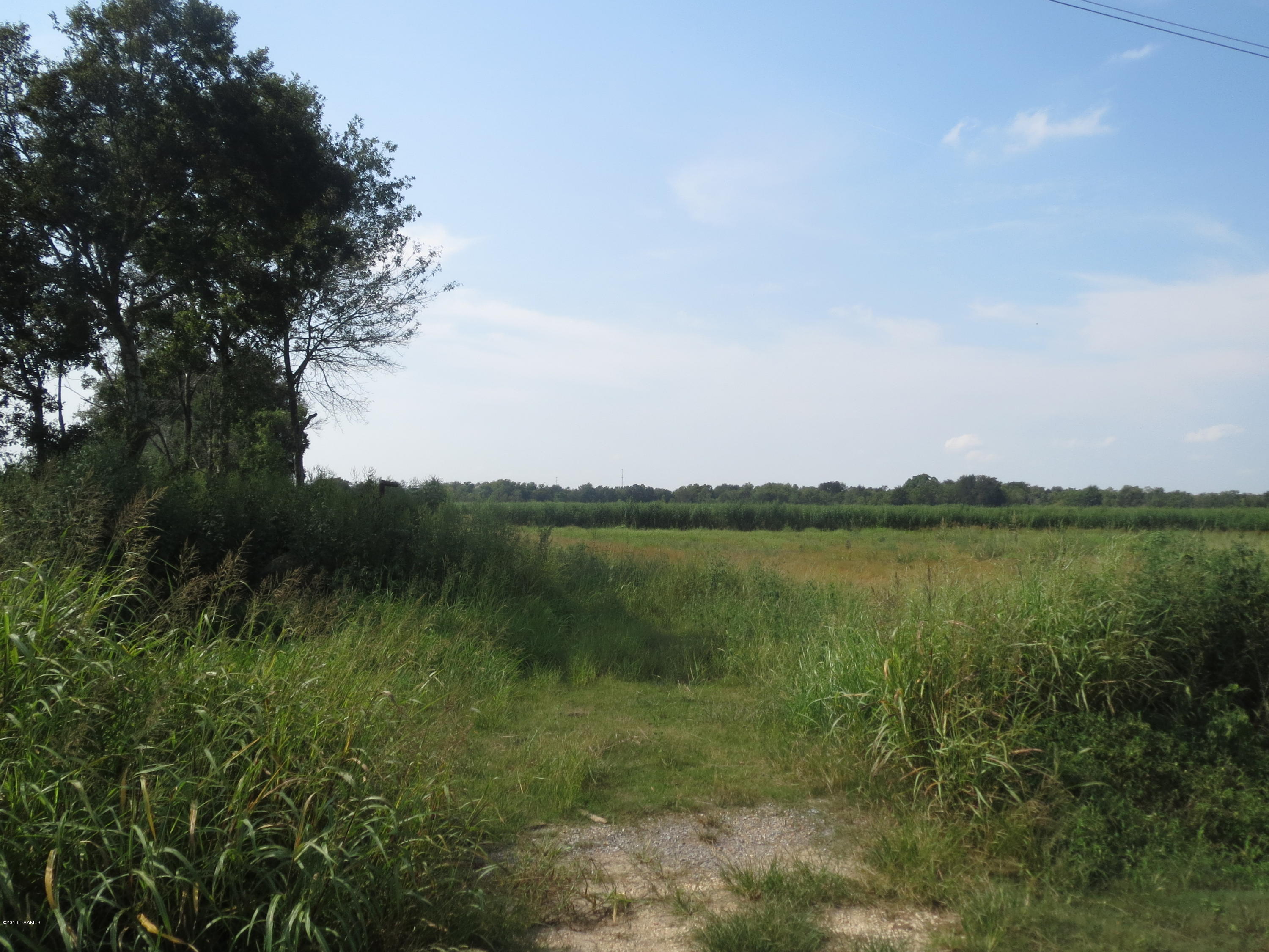 523 Petal Road Egan, LA 70531 - Photo 2 of 3 IMG_1751