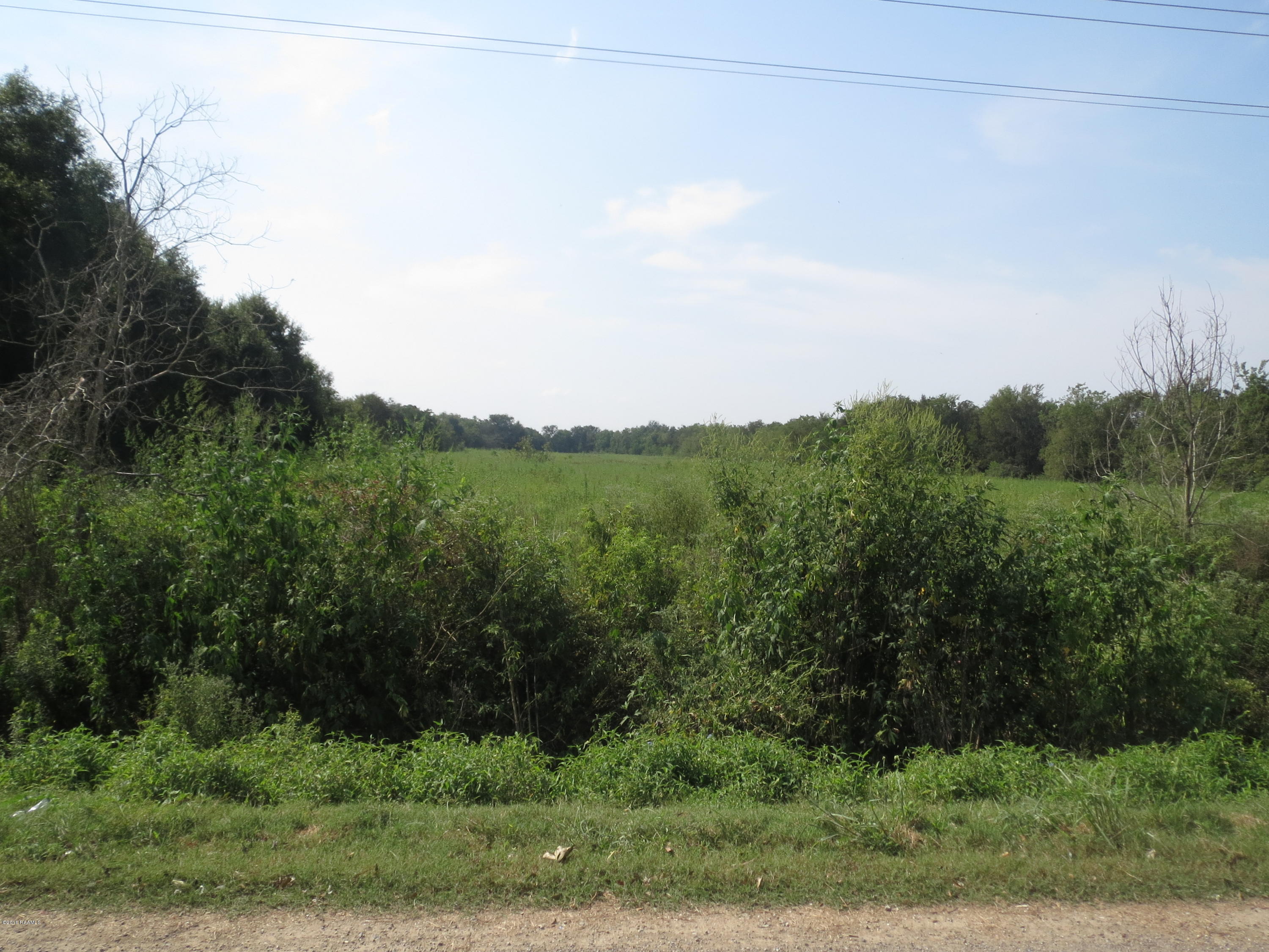 523 Petal Road Egan, LA 70531 - Photo 3 of 3 IMG_1756